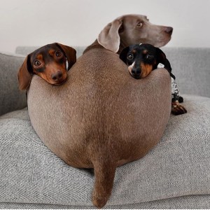 Ways to use Instagram to lift your mood Drea MacMillan